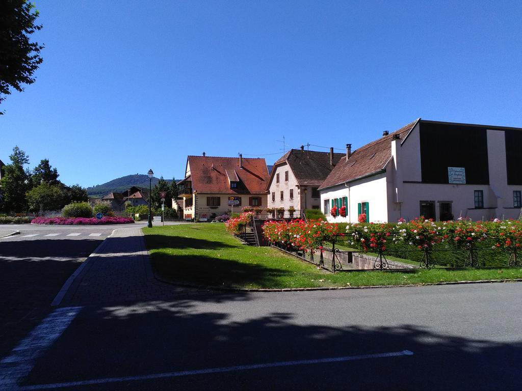 Gites & Camping On The Route Des Vins Bergheim Exterior foto