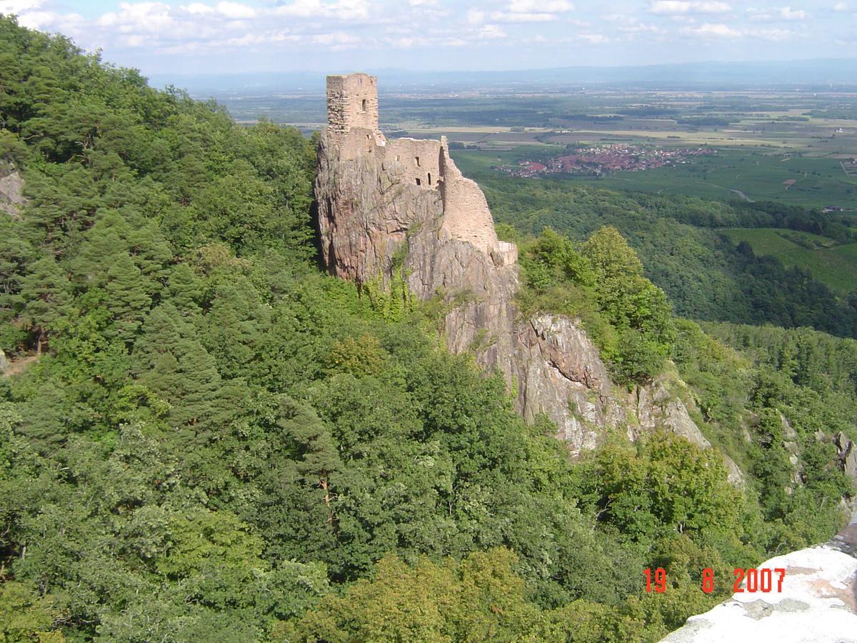 Gites & Camping On The Route Des Vins Bergheim Exterior foto