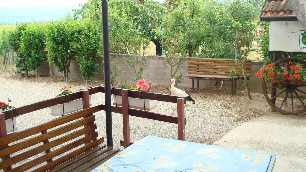 Gites & Camping On The Route Des Vins Bergheim Exterior foto