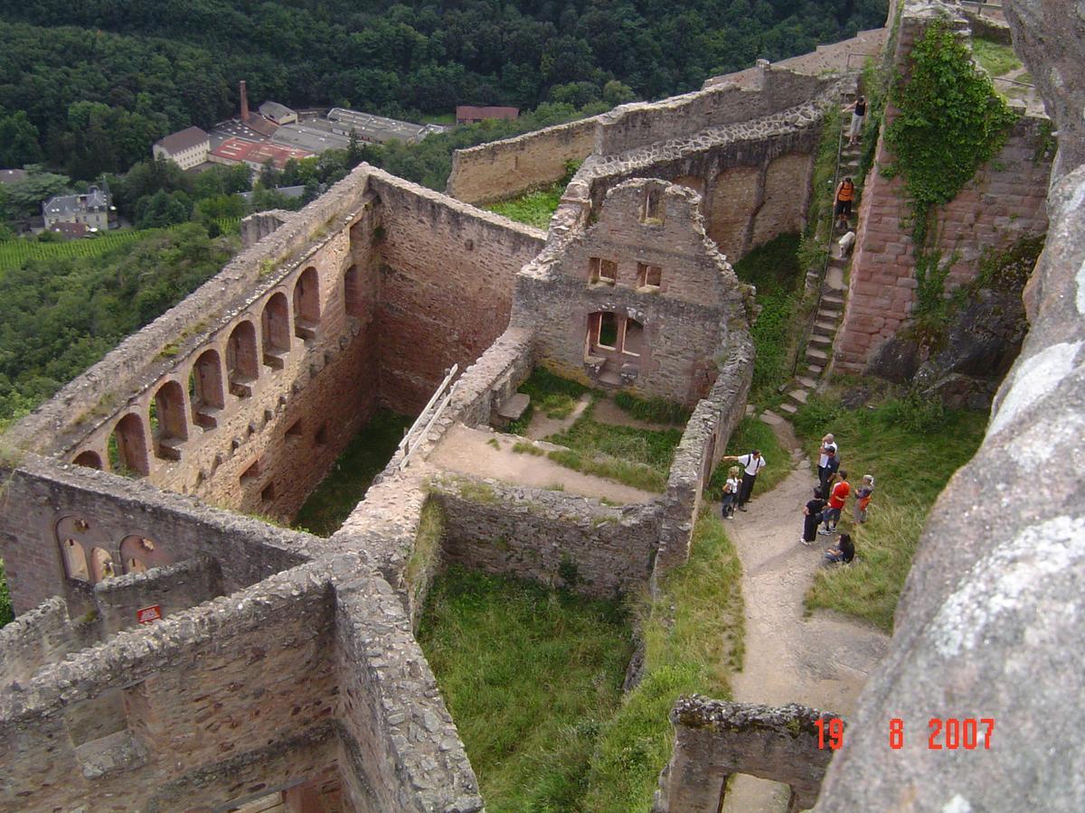 Gites & Camping On The Route Des Vins Bergheim Exterior foto